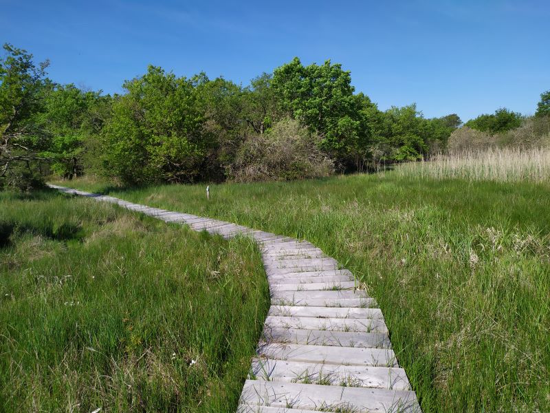 Terres de Renard (Réserve Naturelle Nationale de Chérine)