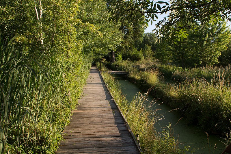 Le Grand Jardin du Théâtre des Minuits, La Neuville-sur-Essonne - photo 5