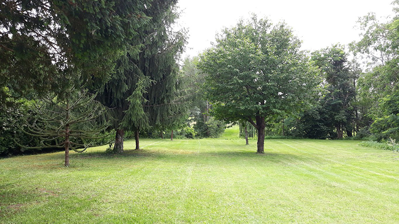 La maison d'yvoire, Thésée - photo 7