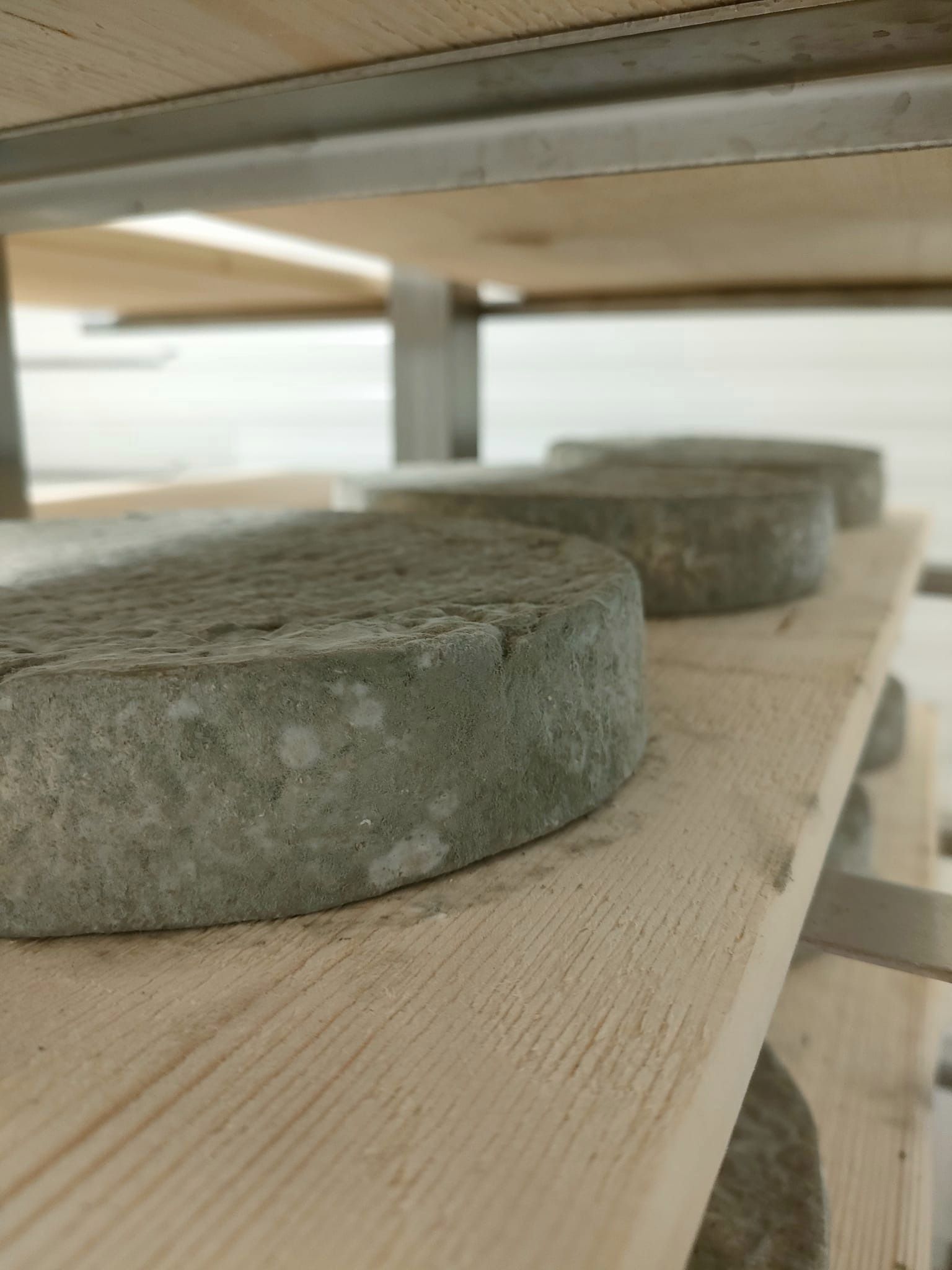 La chèvrerie de la croix verte — photo 3