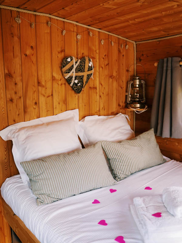 La Toue Reine, La Chapelle-aux-Naux - photo 8