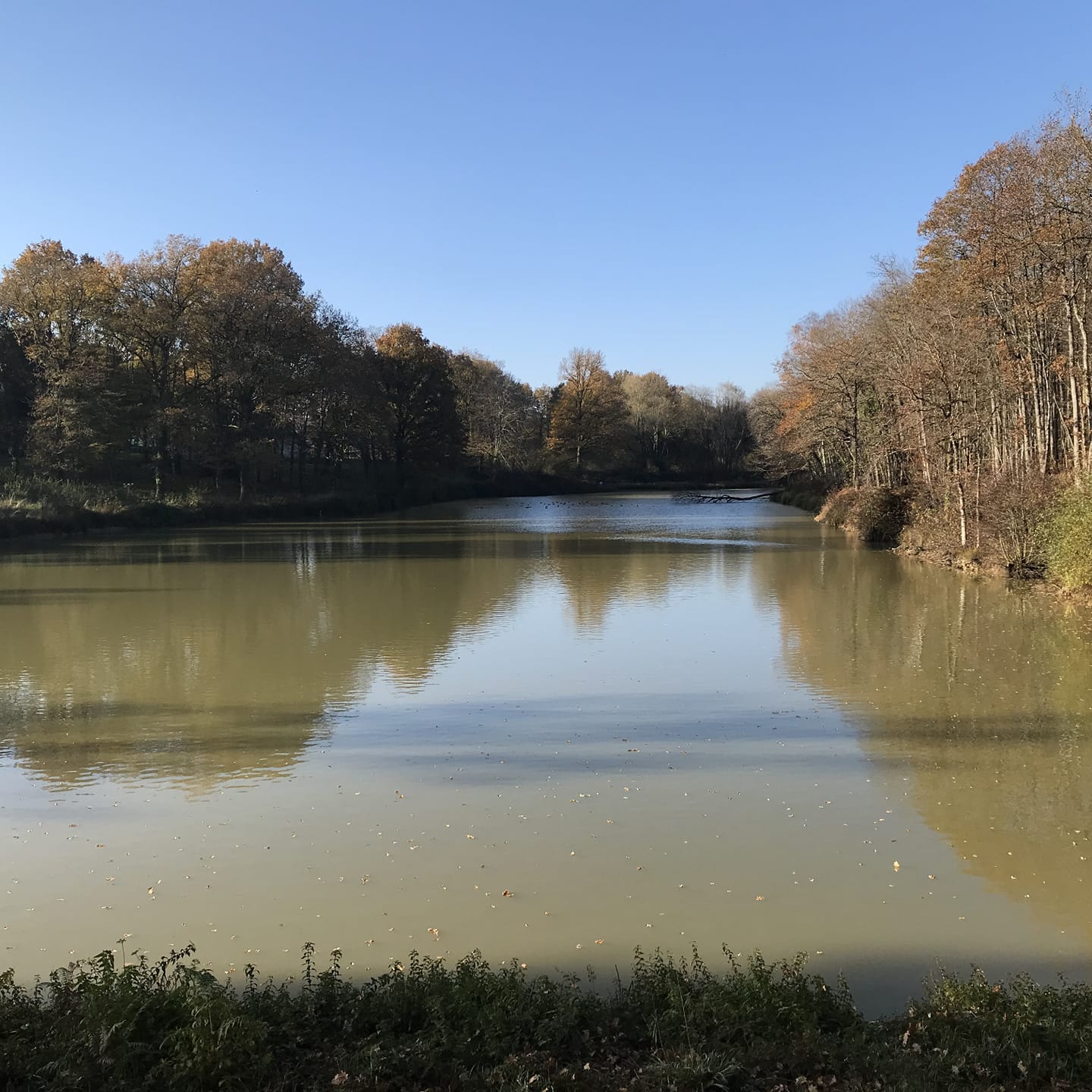 Domaine des aulnaies - touraine cottage, Mareuil-sur-Cher - photo 12