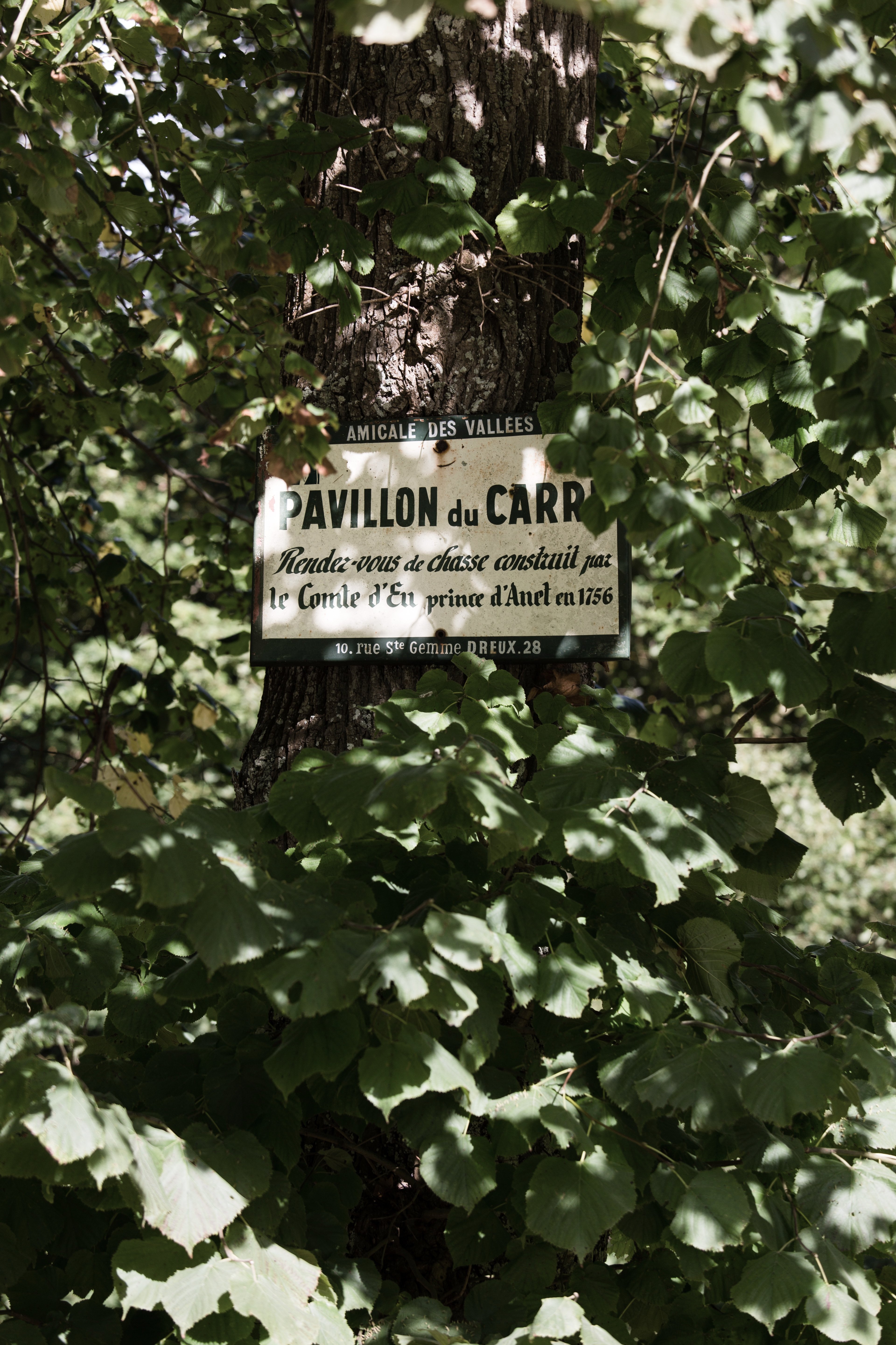 Forêt domaniale de Dreux, Abondant - photo 2