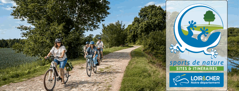 La forêt de Marchenoir… à vélo