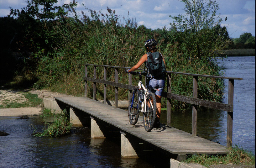 Circuit VTT - De Bellebouche à la Maison du Parc, Saint-Michel-en-Brenne