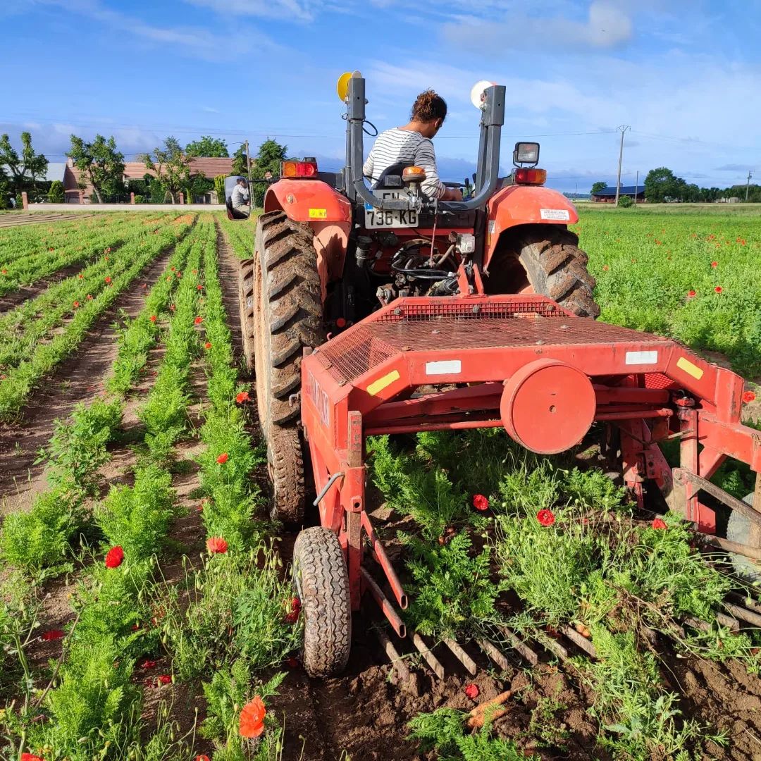 Aux légumes Célestes - photo 4