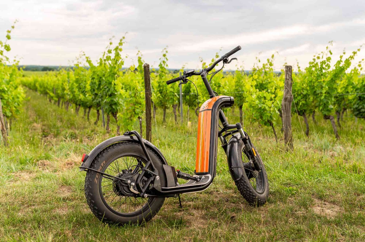 Escapade en trottinette tout-terrain O Coeur des vignes