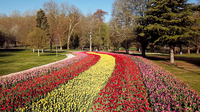 Jardins des Tulipes du château de Cheverny©