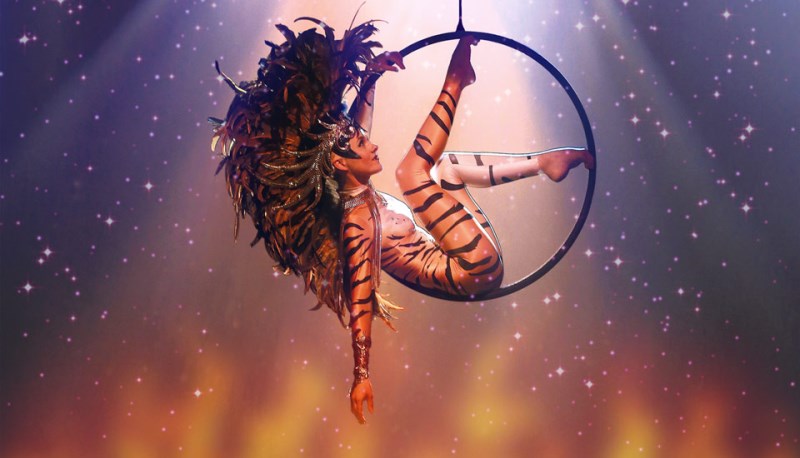 Utopia-Cerceau-Tiger-3