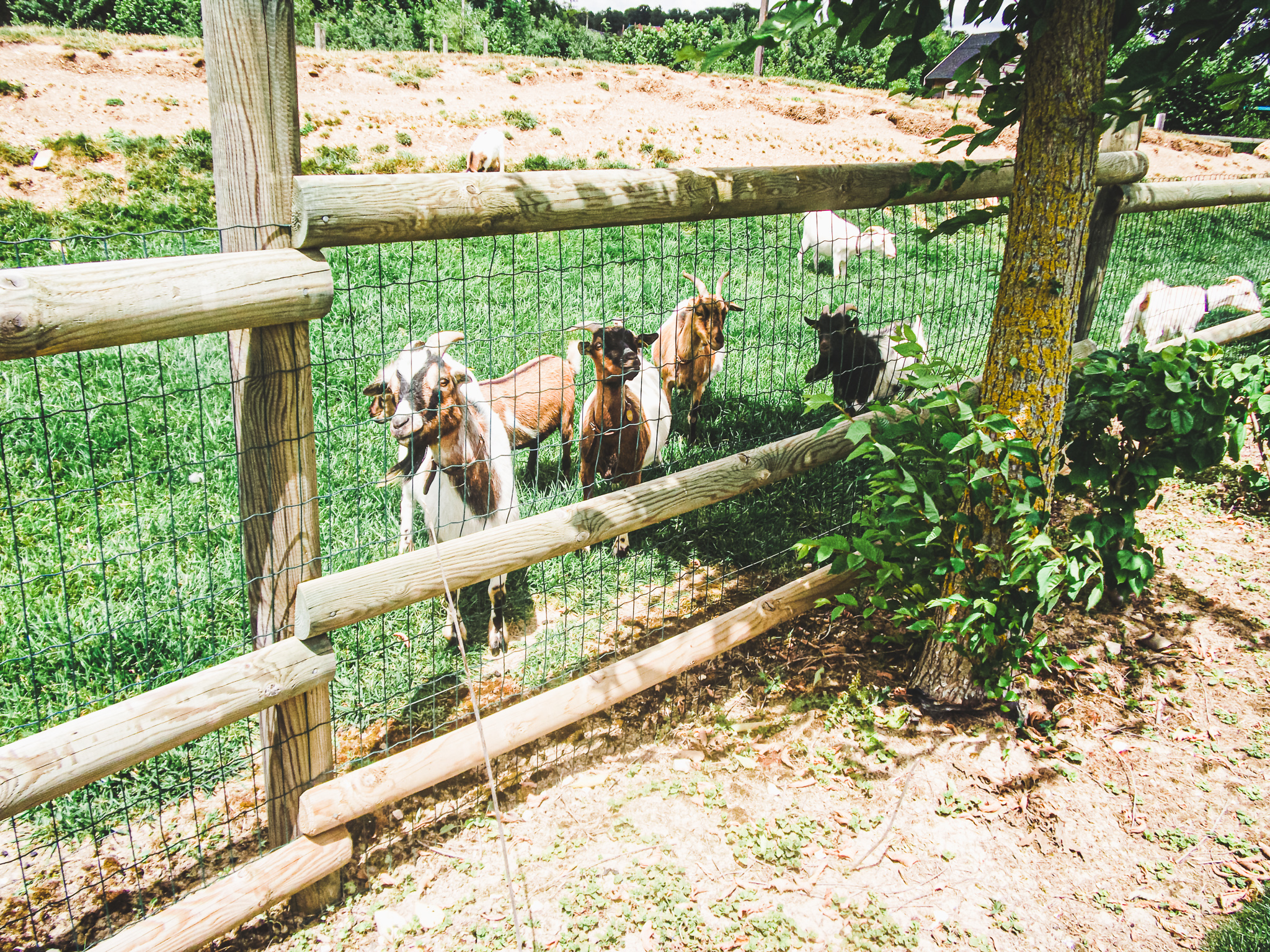 L'Odyssée du Berry, Vornay