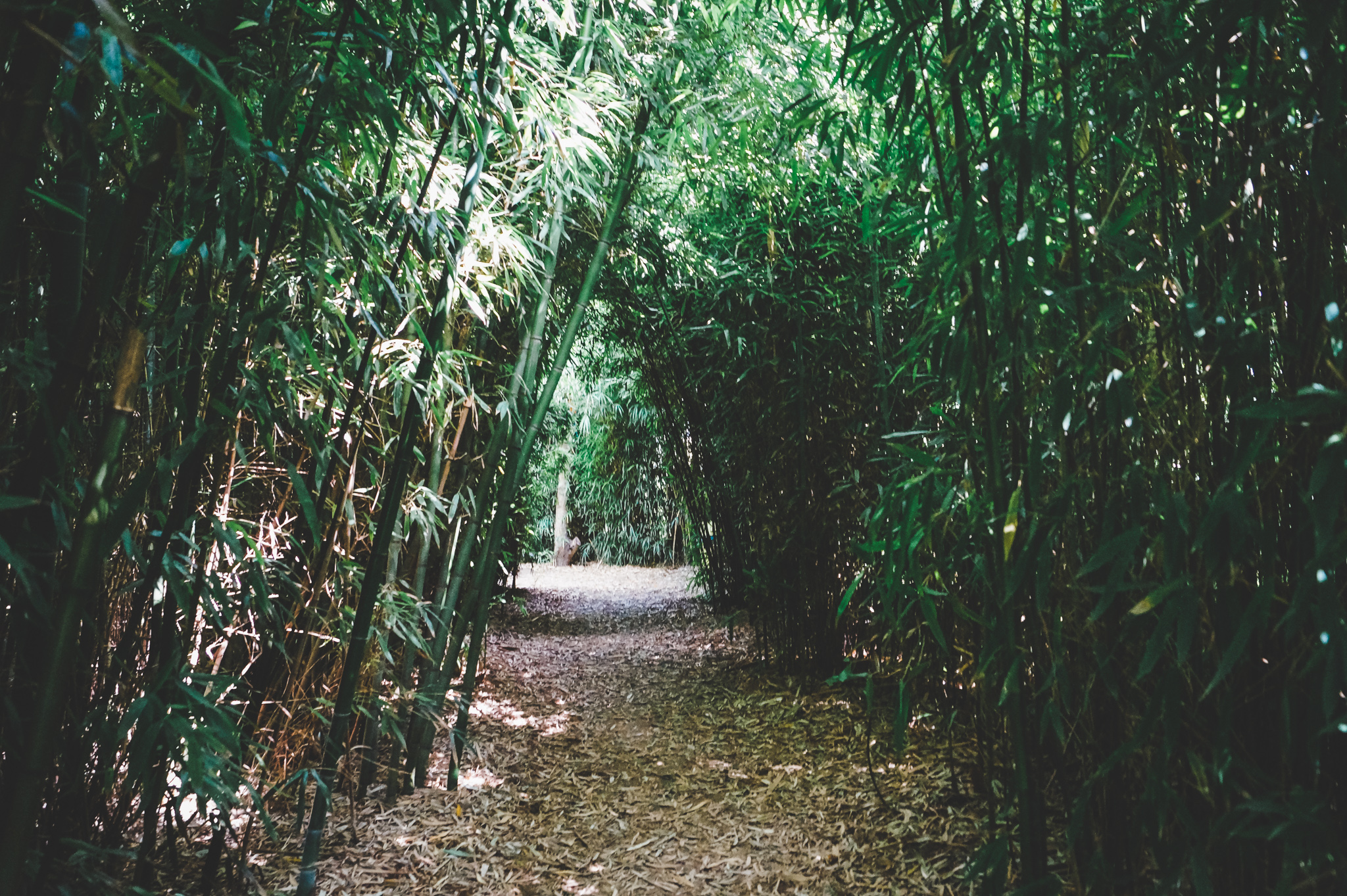 L'Odyssée du Berry, Vornay - photo 4
