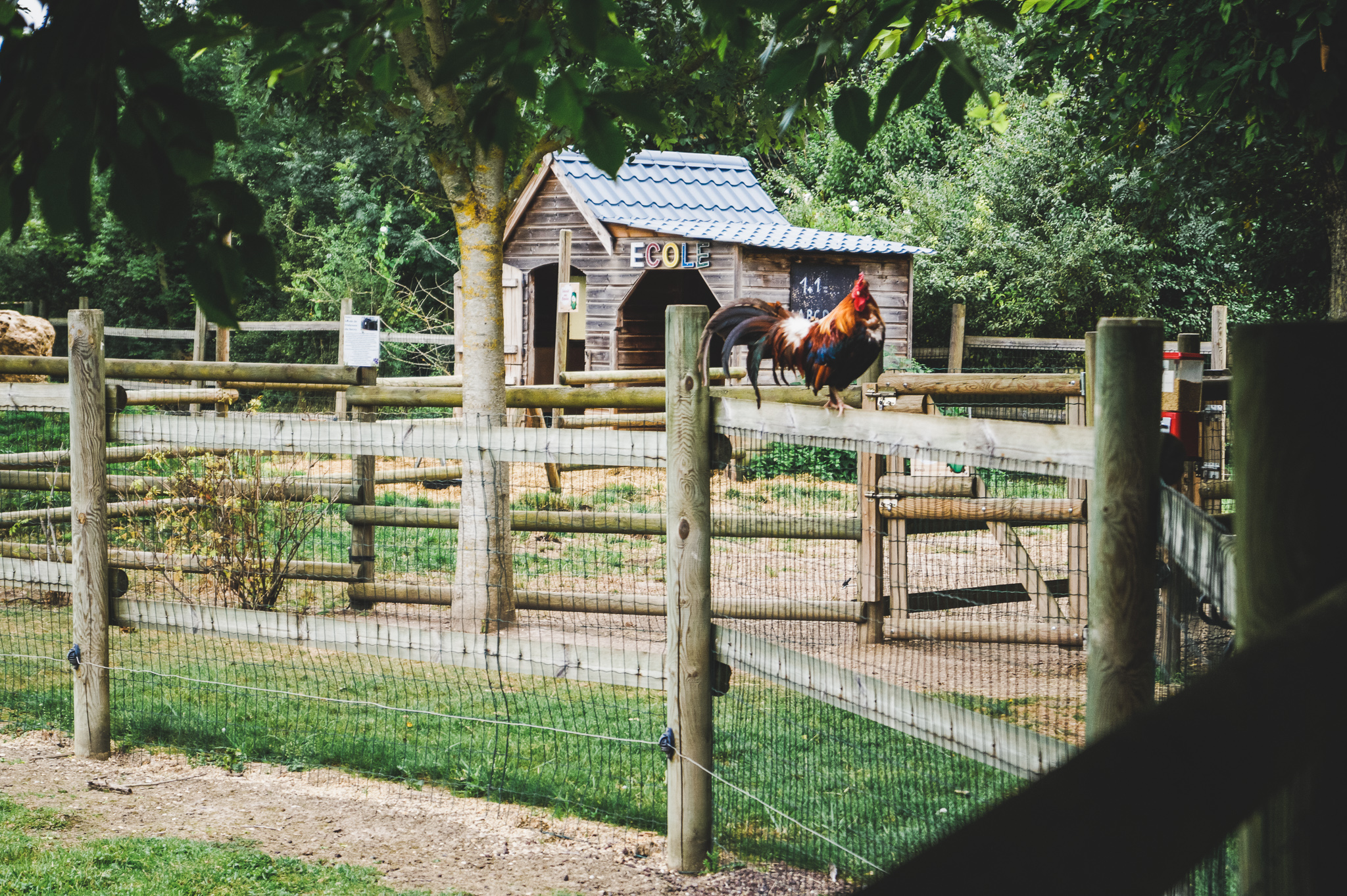 L'Odyssée du Berry, Vornay - photo 2