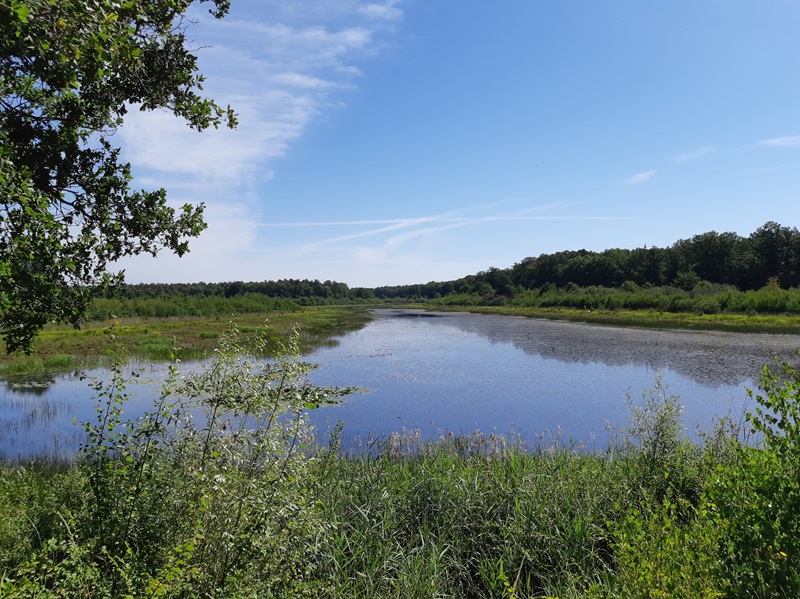 Étang de Jarnonce A25