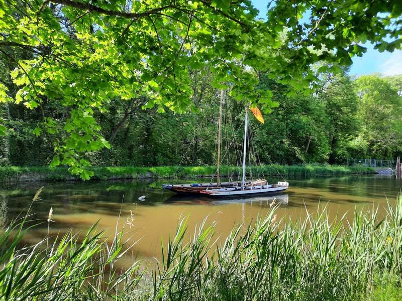 Canal d'Orléans, Fay-aux-Loges - photo 6