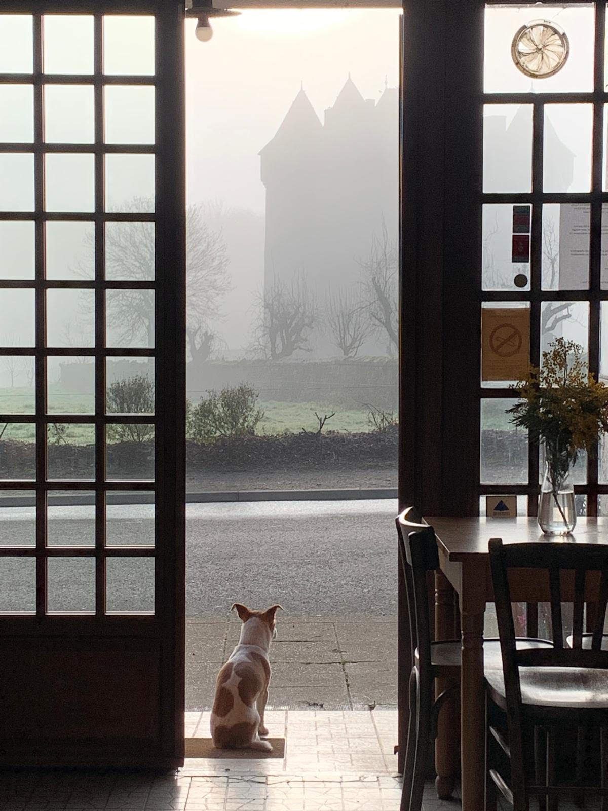 Bar - restaurant du Château de Sarzay, Sarzay - photo 3