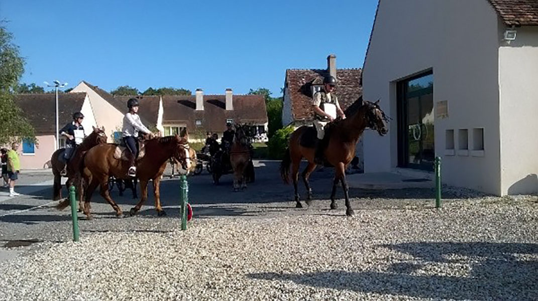 La Brenne à cheval : circuits en marguerite au départ du domaine de Bellebouche