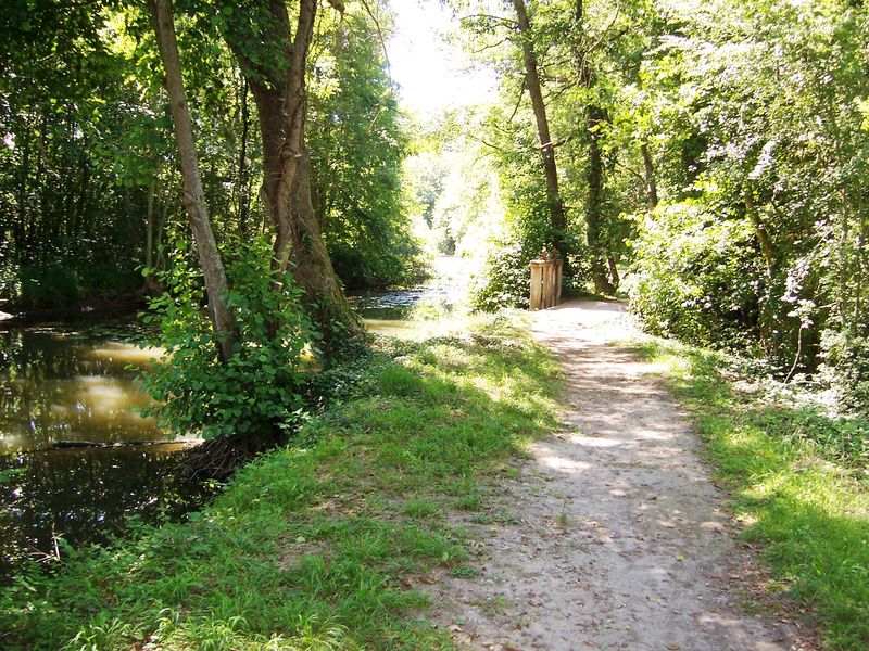 Sentier des moulins de la vallée de l'Essonne, Briarres-sur-Essonne - photo 6