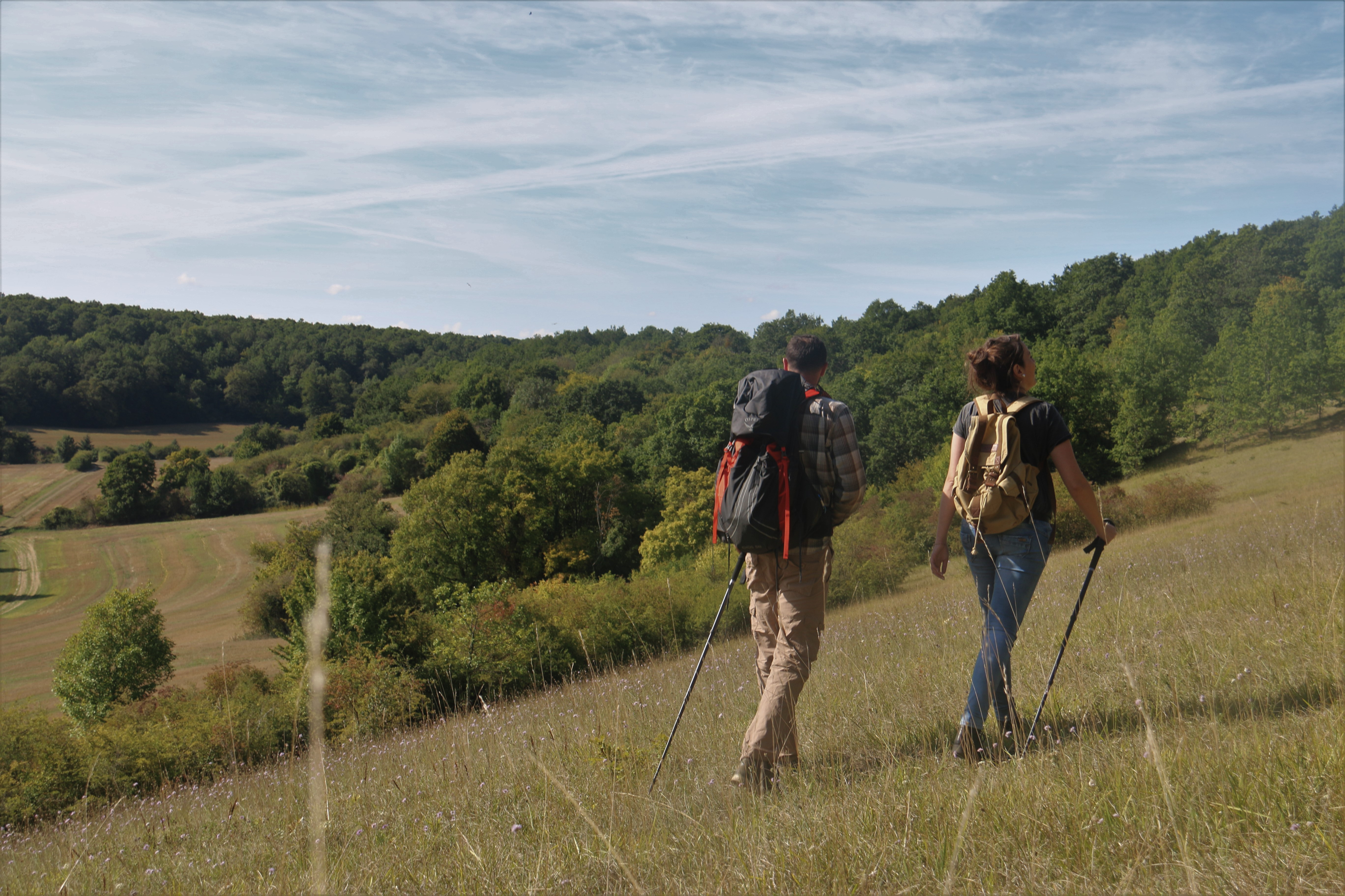 Réserve naturelle régionale de la Vallée des Cailles