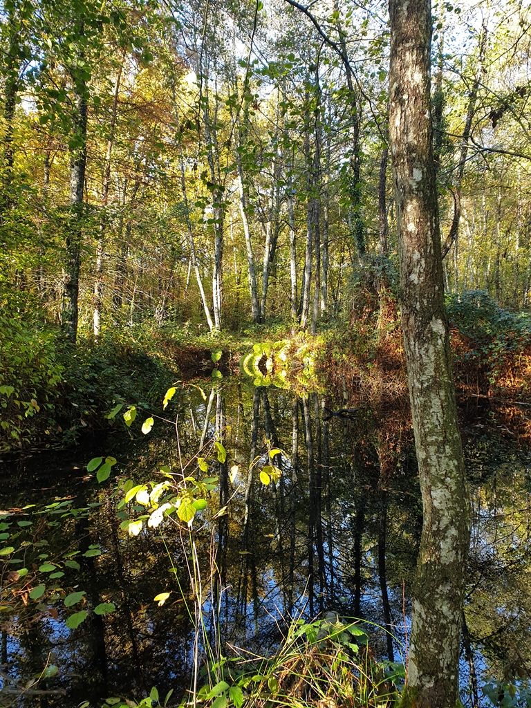 Espace naturel sensible Maurice Genevoix, Vannes-sur-Cosson - photo 2