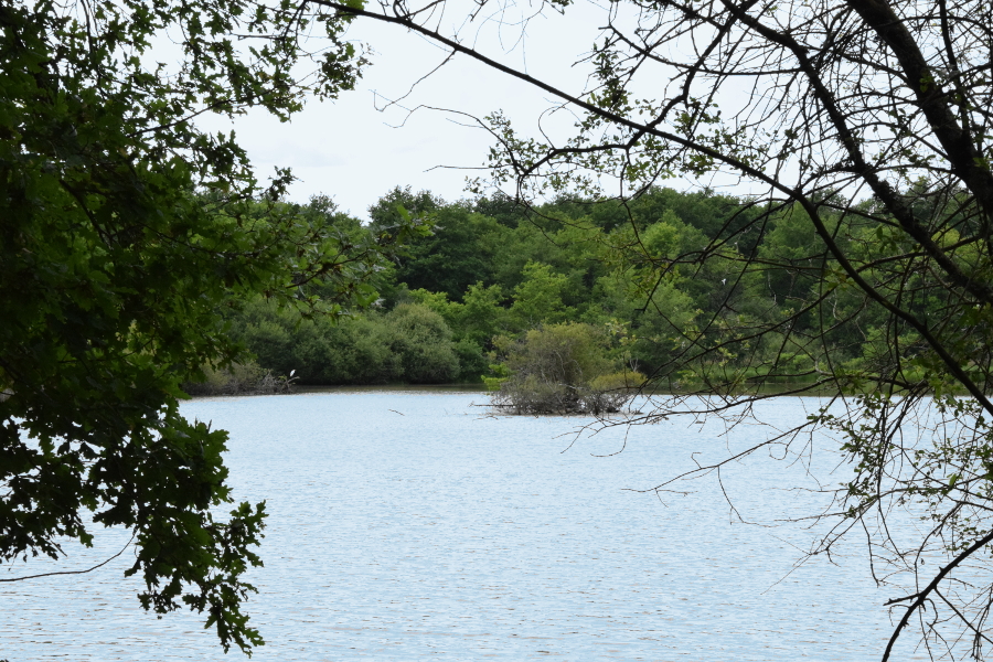 Aire de services rue de Bagatelle