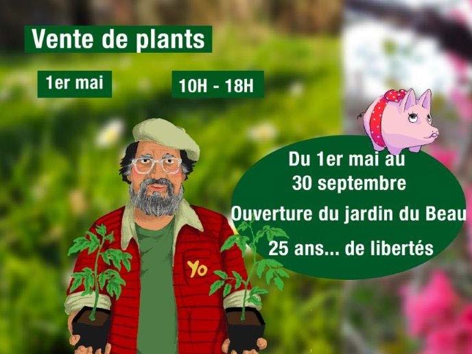 Vente de plants