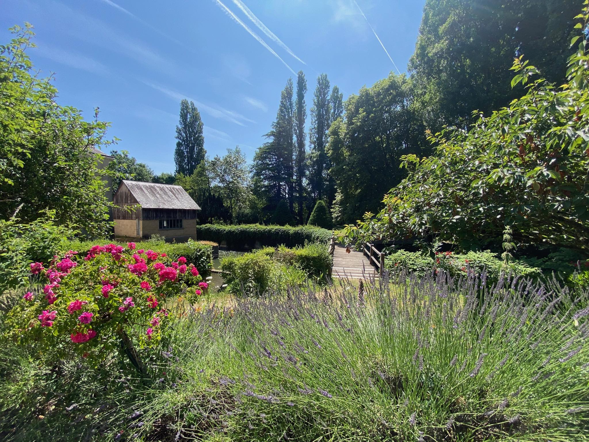 Domaine du moulin de la plaine
