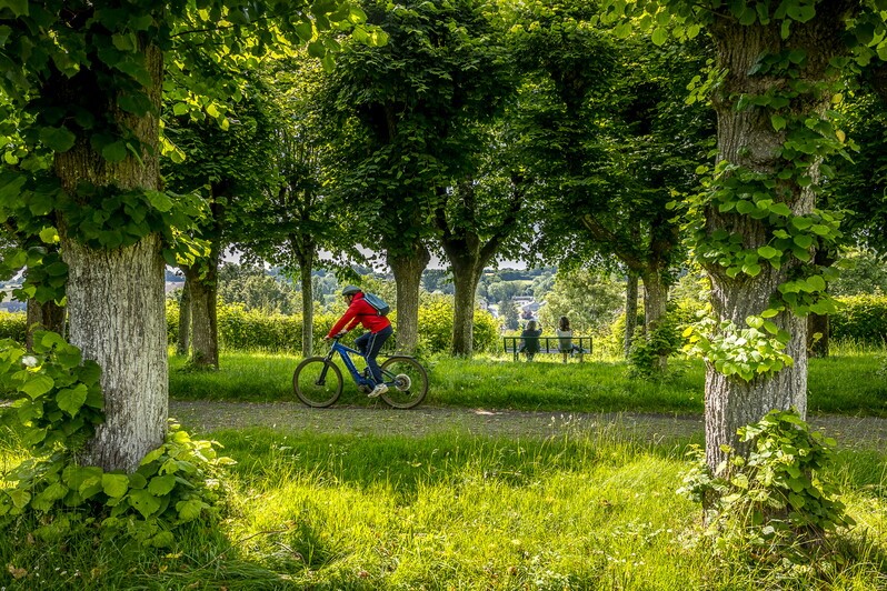 Base VTT sud du Perche - Vers le bois de la Bulière C14