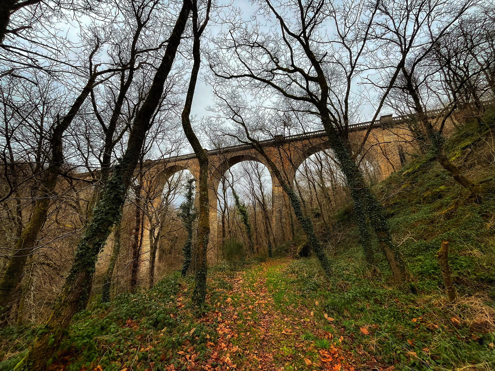 Itinéraire découverte à vélo n°2 au départ de Châteaumeillant, Châteaumeillant - photo 4