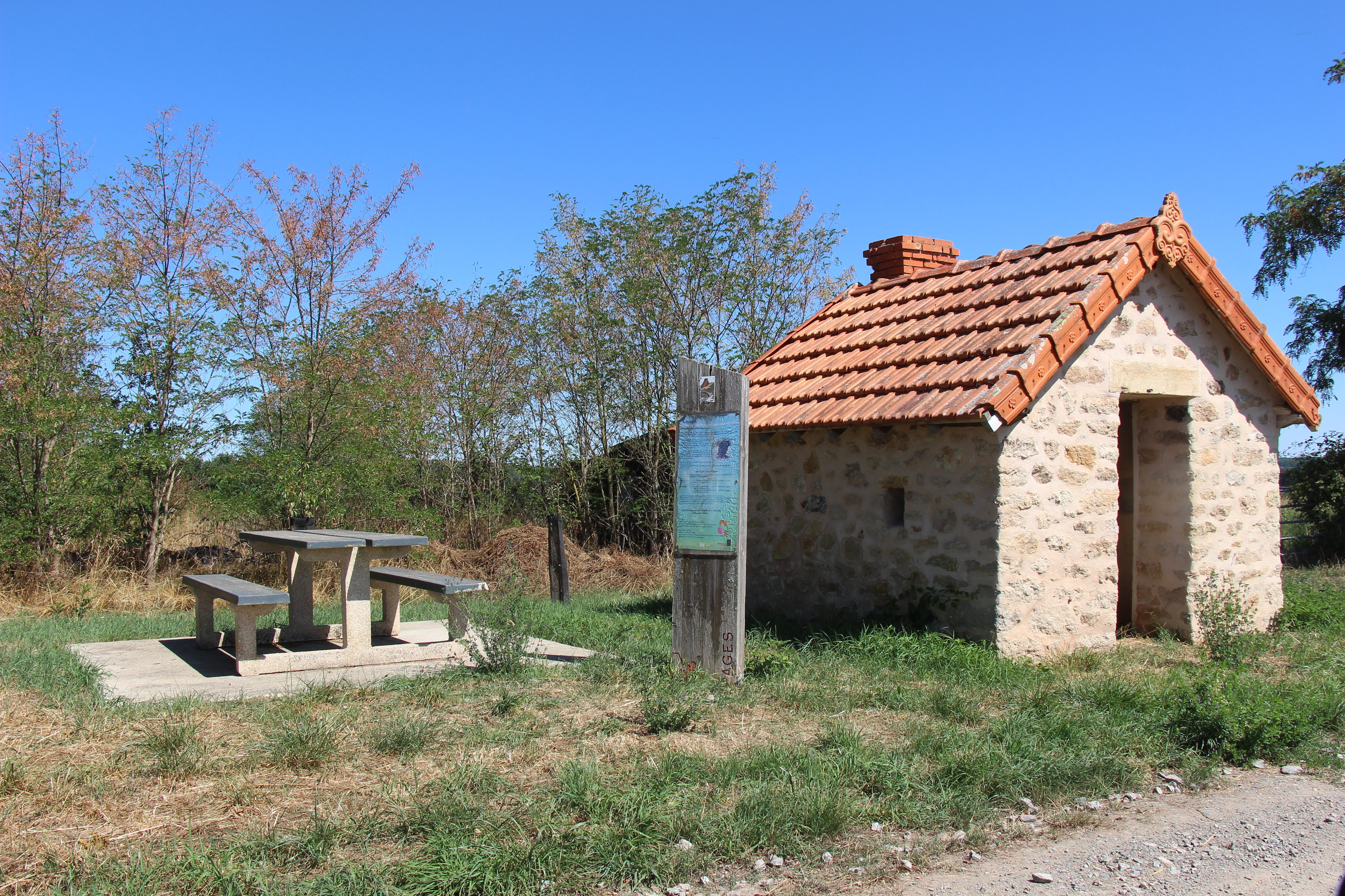 Les vignes, Châteaumeillant - photo 3