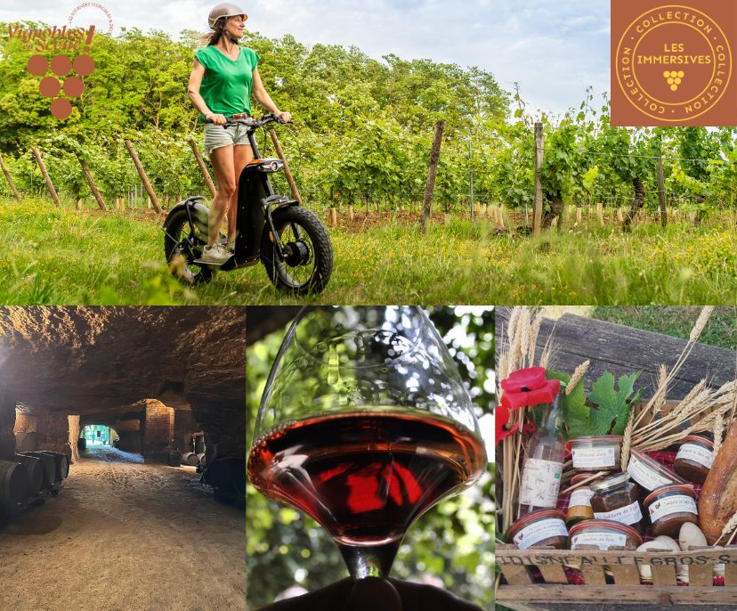 Vignobles en Scène - Escapade gourmande entre vignes et terroir en trottinette tout-terrain