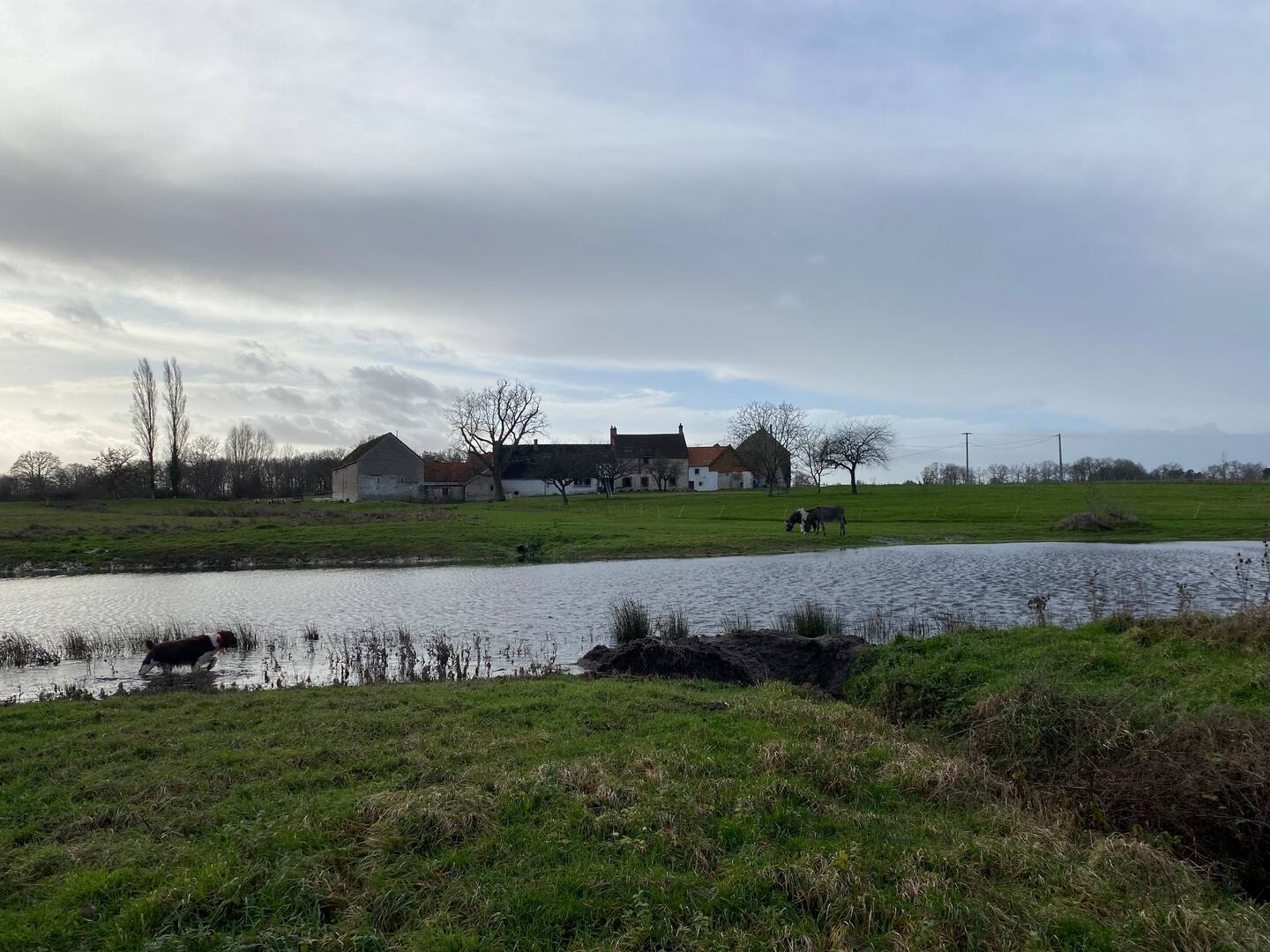 VILLENOUAN, Lailly-en-Val - photo 6