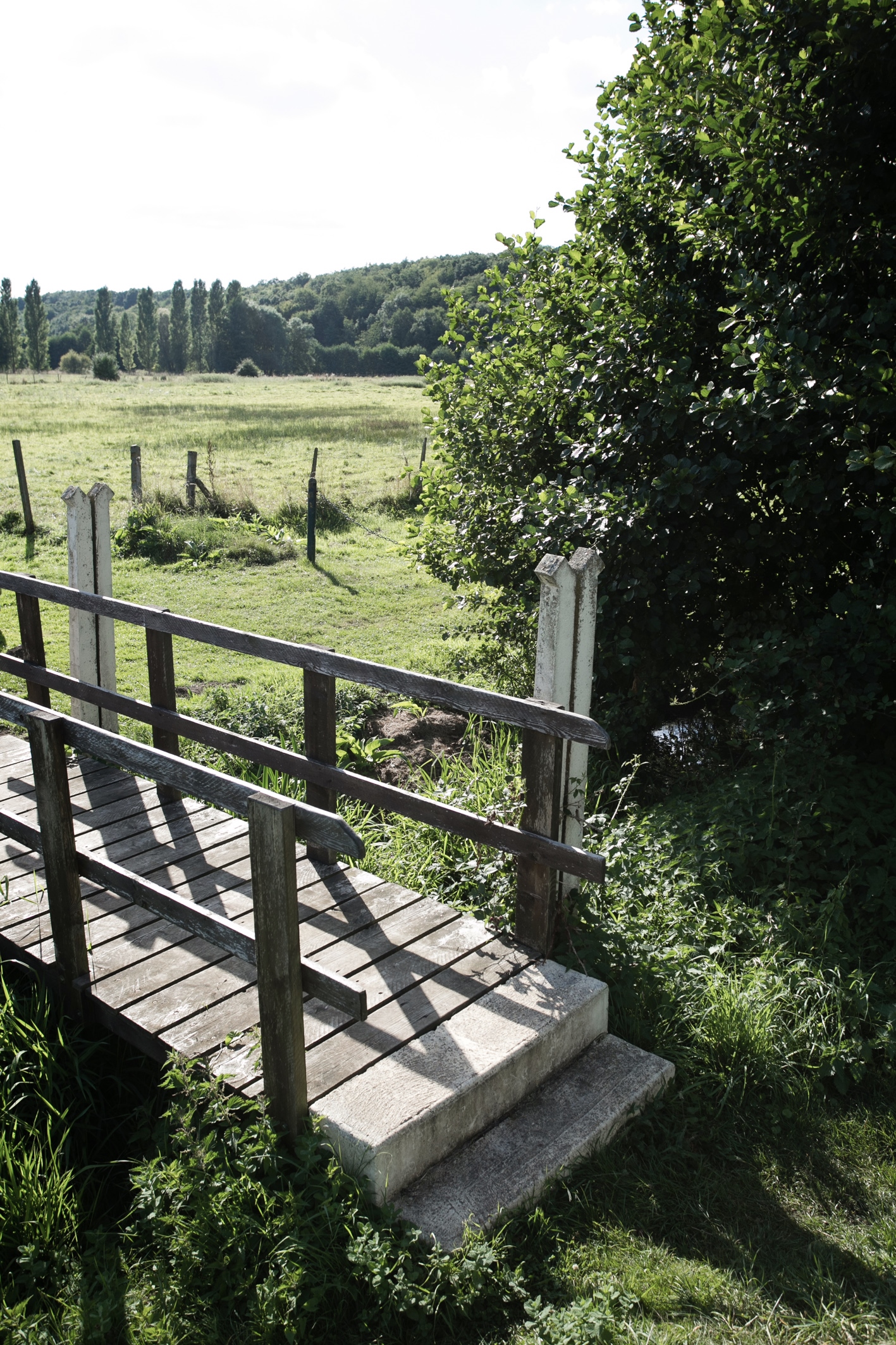 Étang de Bérou-la-Mulotière, Bérou-la-Mulotière - photo 3