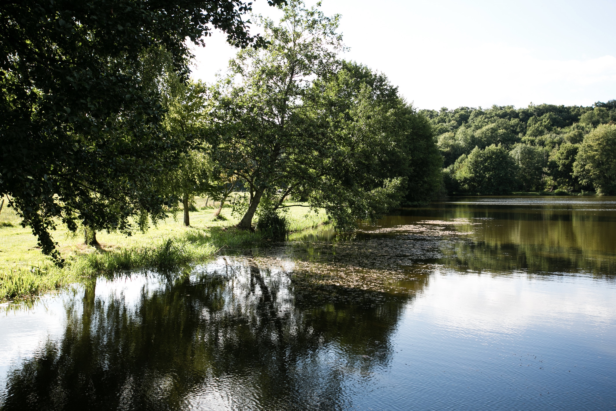 Étang de Bérou-la-Mulotière, Bérou-la-Mulotière - photo 5