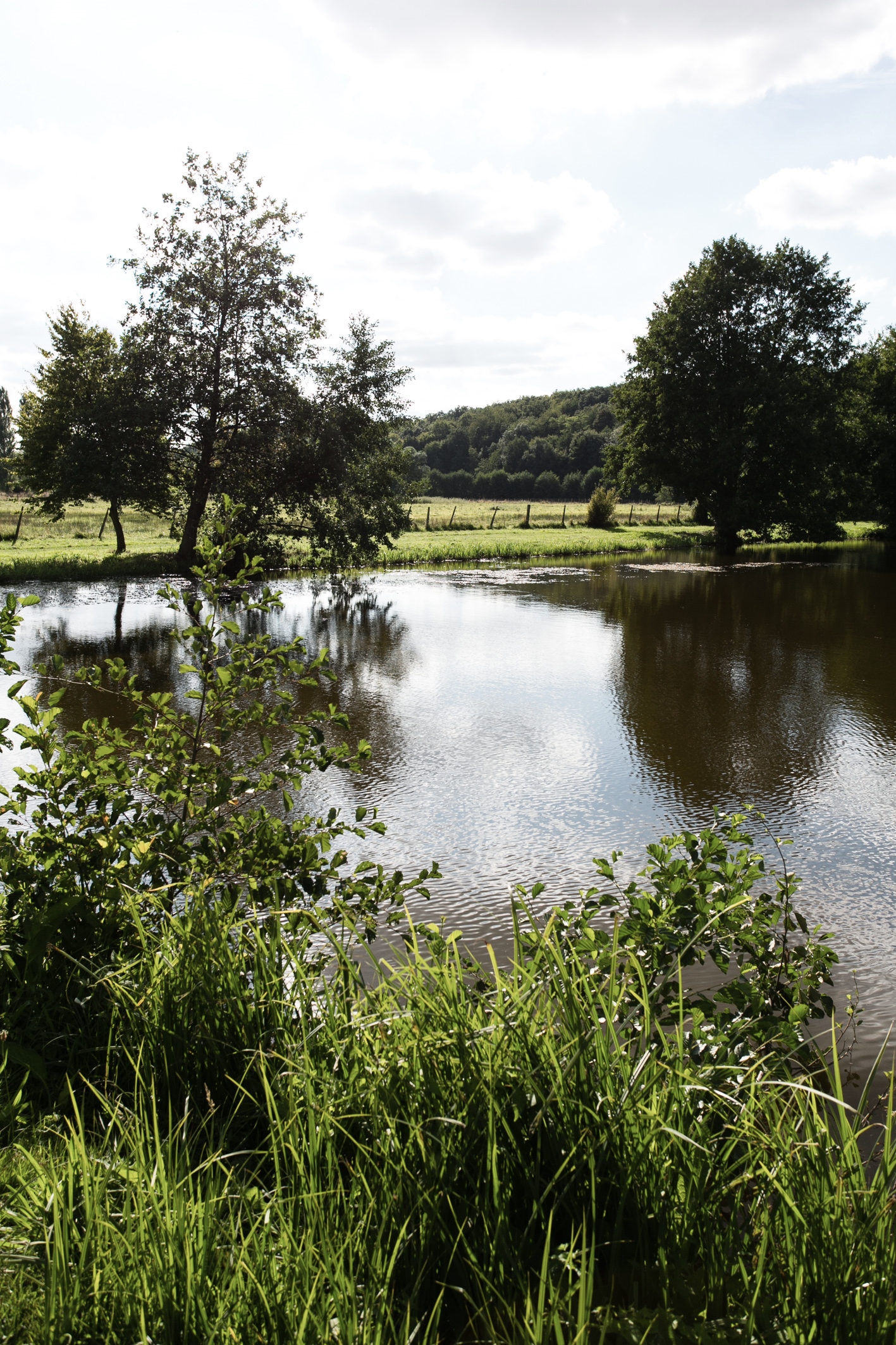 Étang de Bérou-la-Mulotière, Bérou-la-Mulotière - photo 2