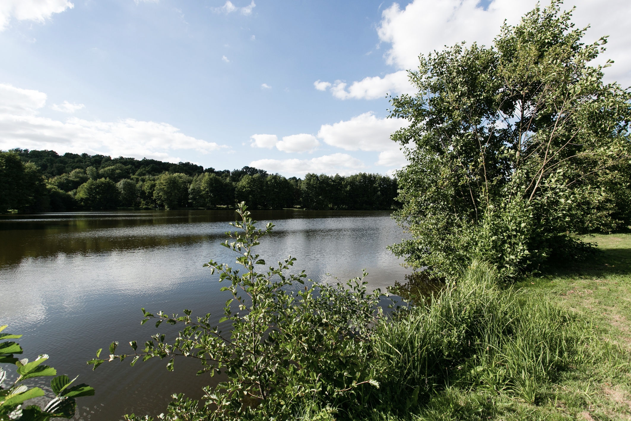 Étang de Bérou-la-Mulotière, Bérou-la-Mulotière - photo 4