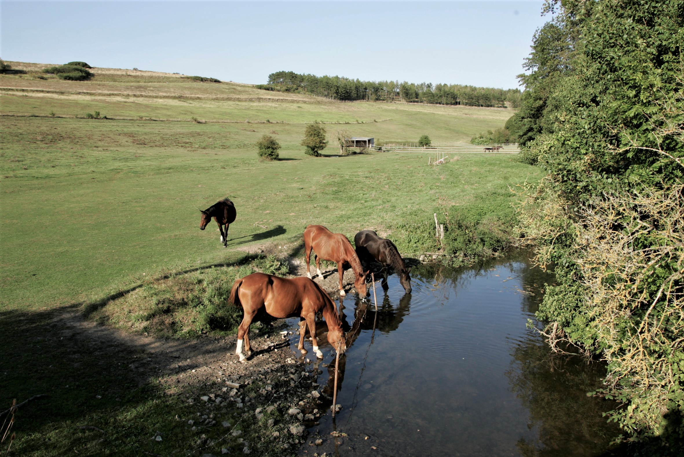 Les Ecuries de Cherisy