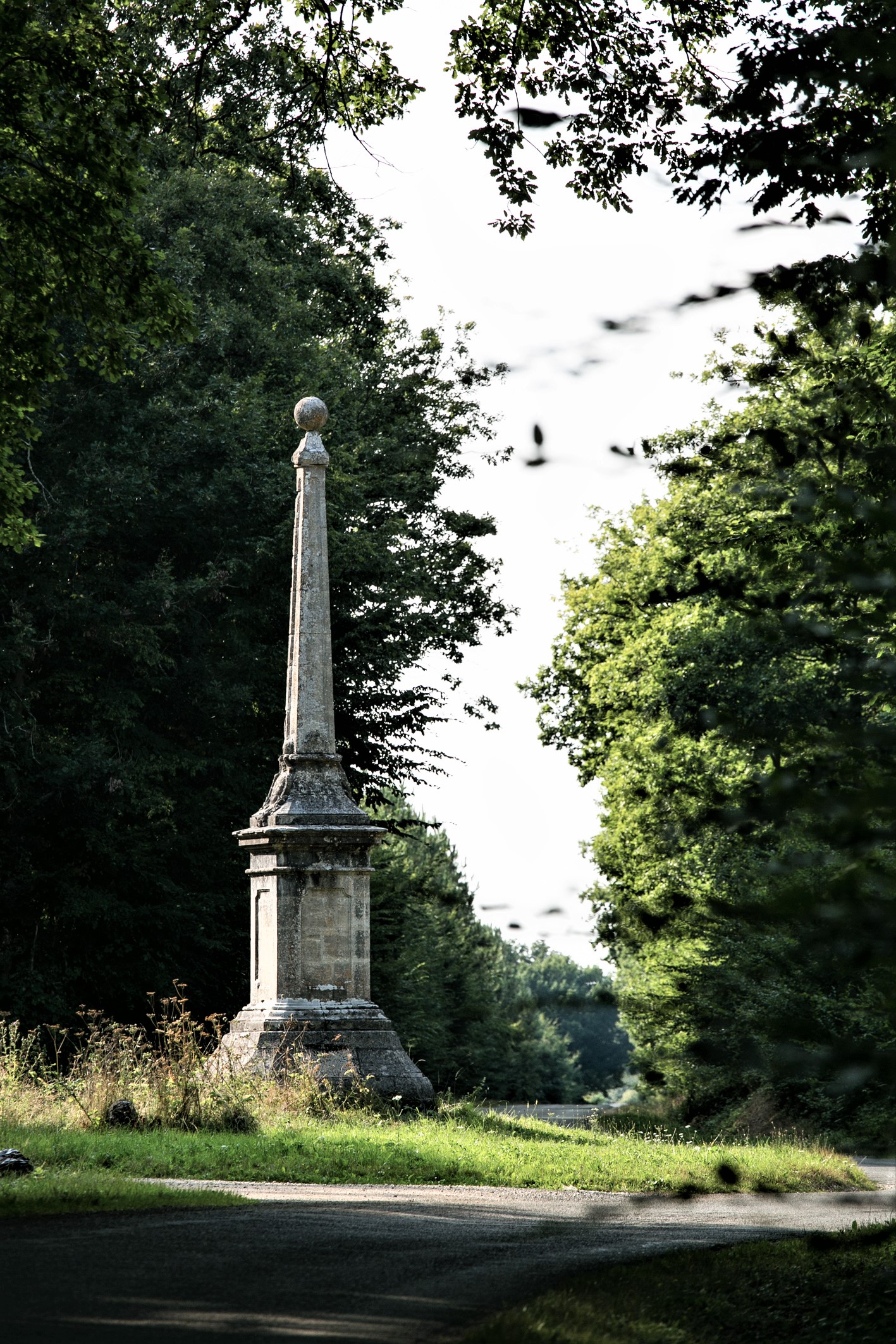 Forêt domaniale de Châteauneuf-en-Thymerais, Châteauneuf-en-Thymerais - photo 7