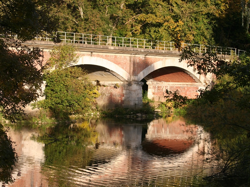 Espace naturel sensible du Grand Rozeau et des Près Blonds, Châlette-sur-Loing - photo 8