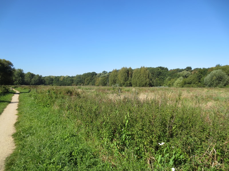 Espace naturel sensible du Grand Rozeau et des Près Blonds, Châlette-sur-Loing - photo 3