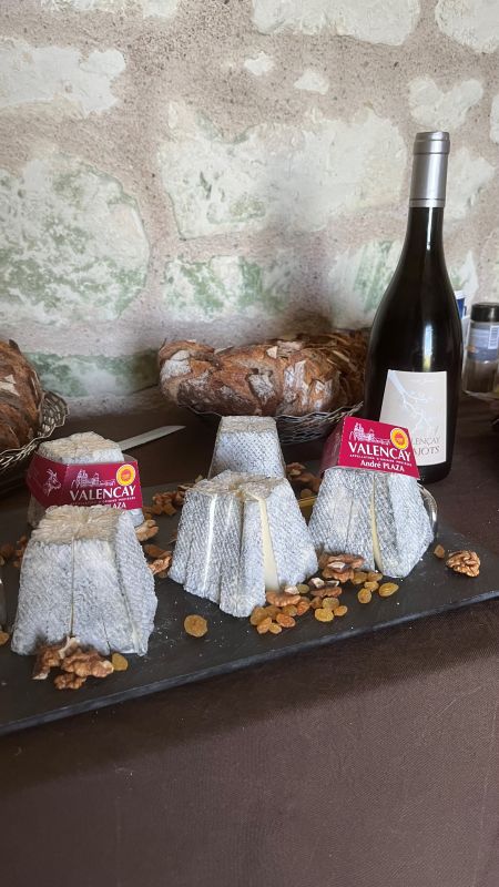 Vignobles Jourdain — photo 2