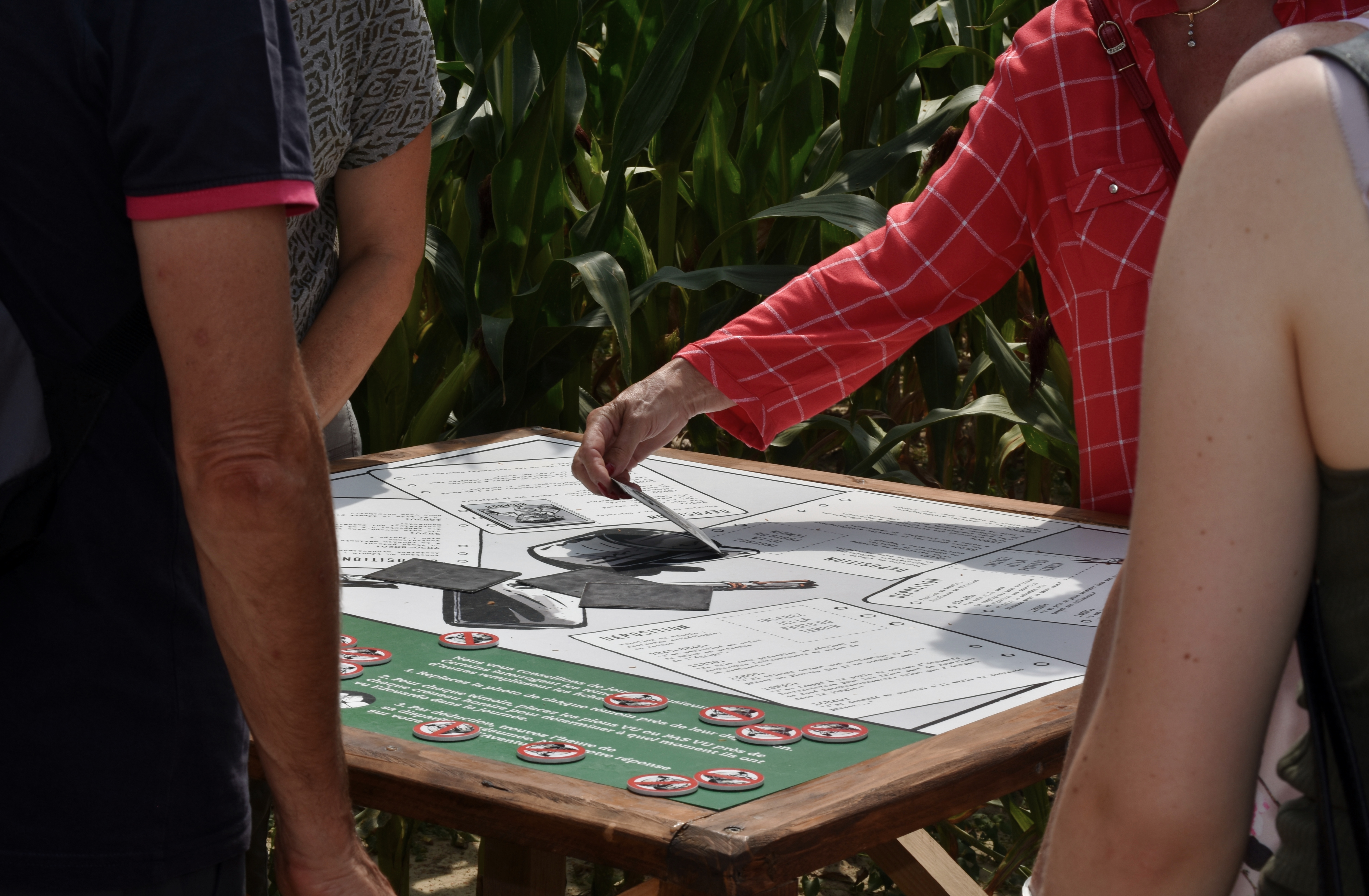 Labyrinthe du Thimerais, Saint-Maixme-Hauterive - photo 7