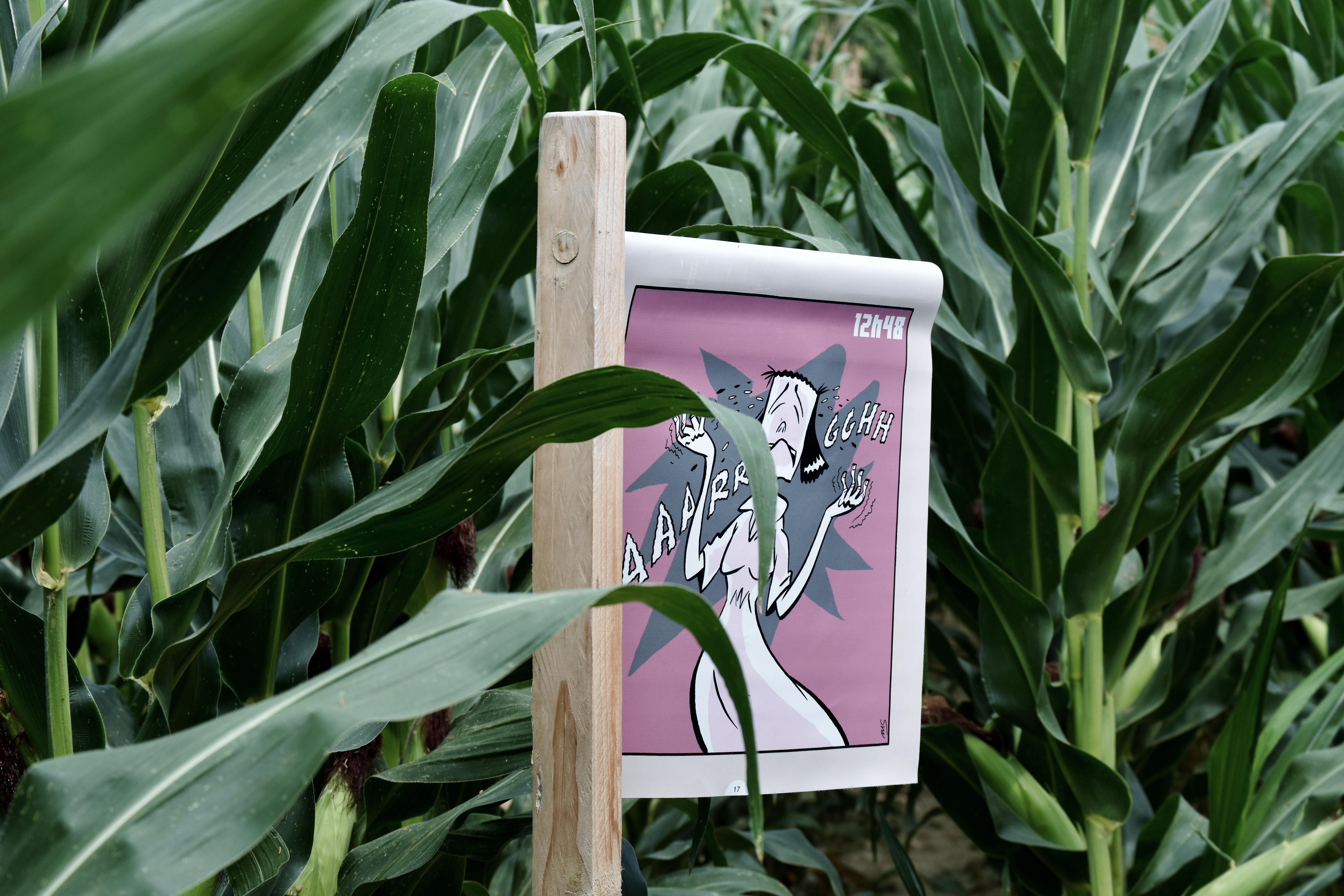 Labyrinthe du Thimerais, Saint-Maixme-Hauterive - photo 3