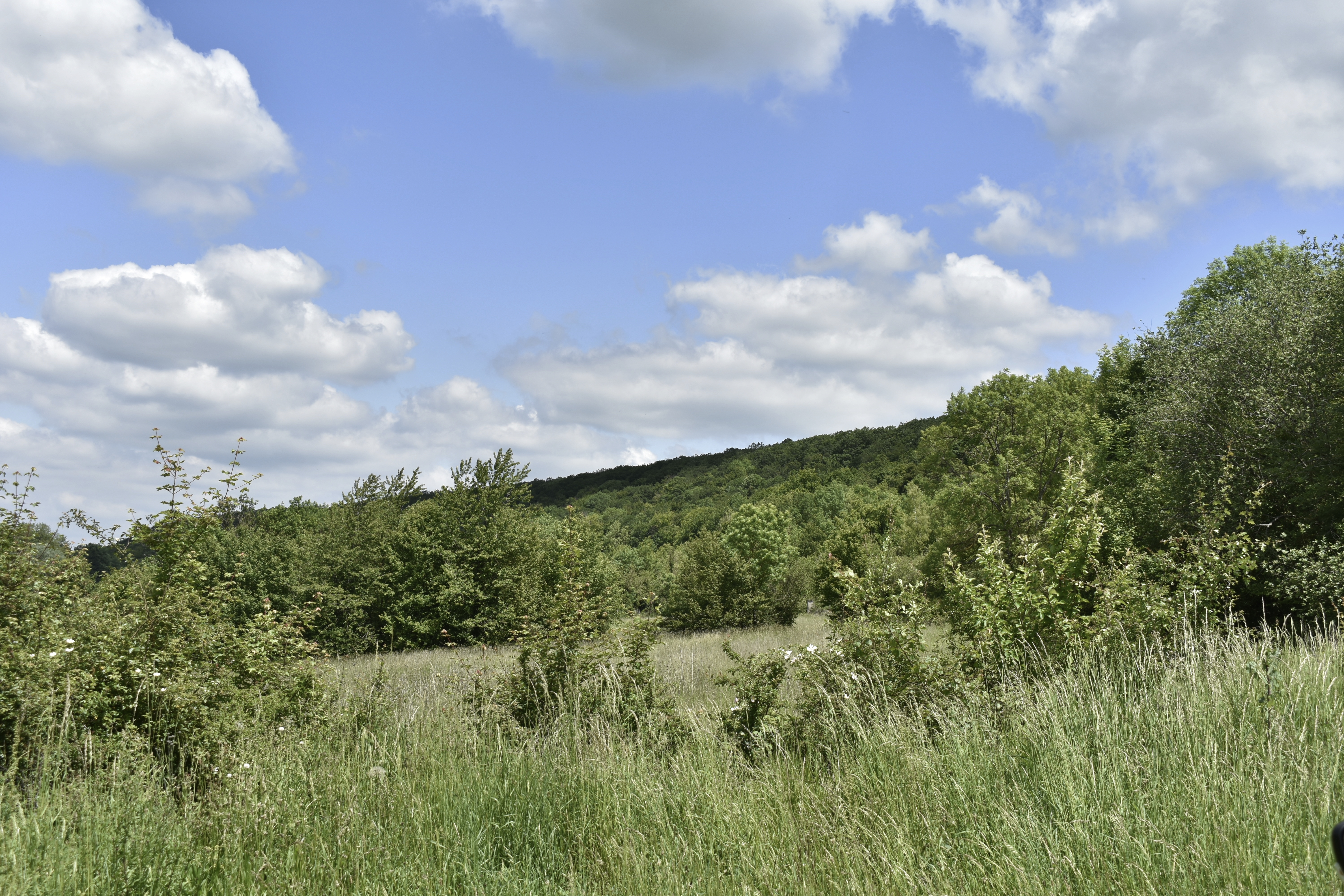 Le Pont Hoddé, Dreux - photo 4
