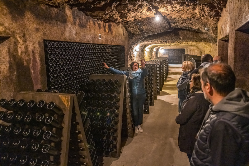 Rendez-Vous dans les Vignes, Chançay - photo 17