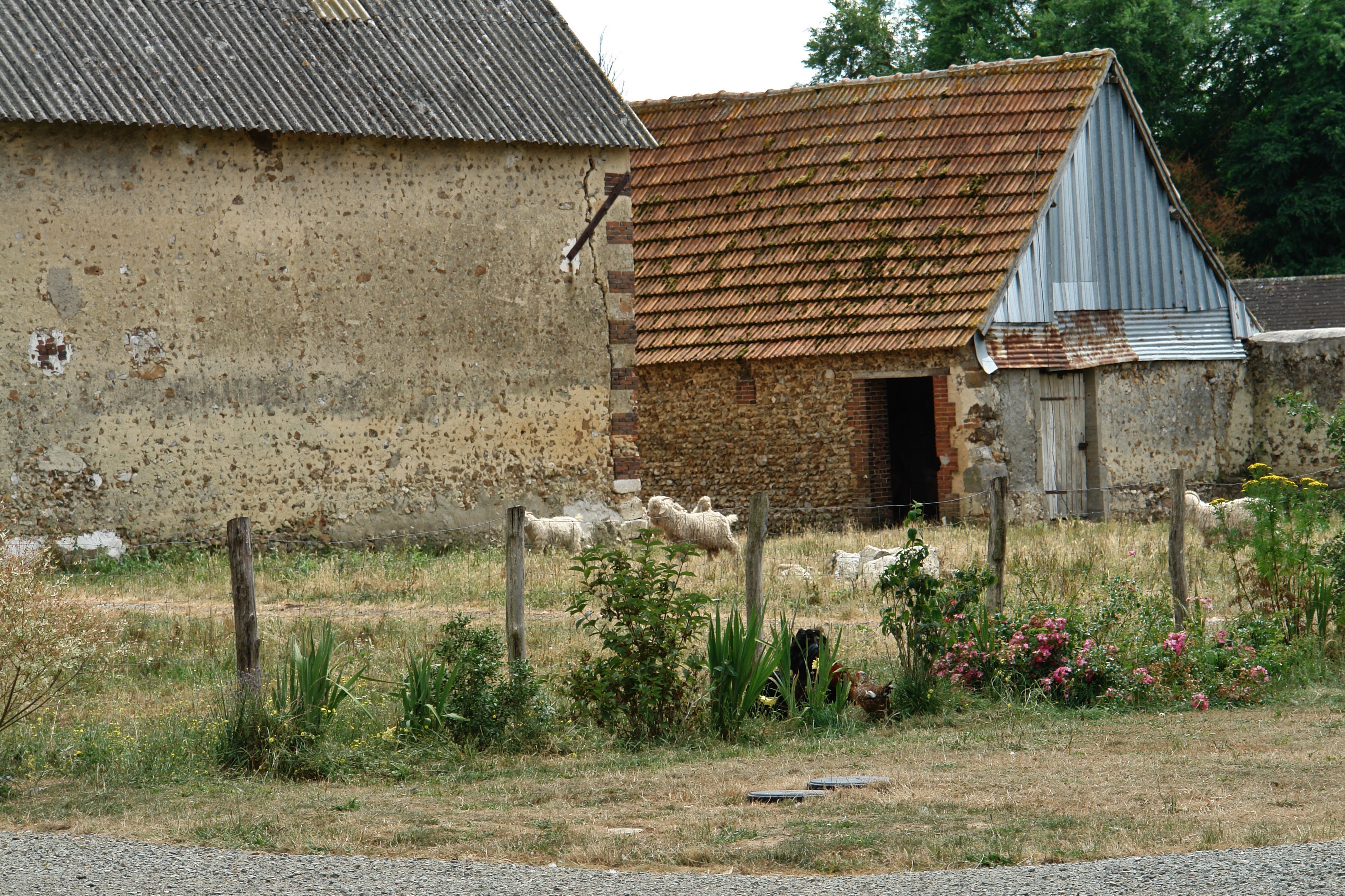 La Ferme La Bouquetière, Saint-Ange-et-Torçay - photo 7