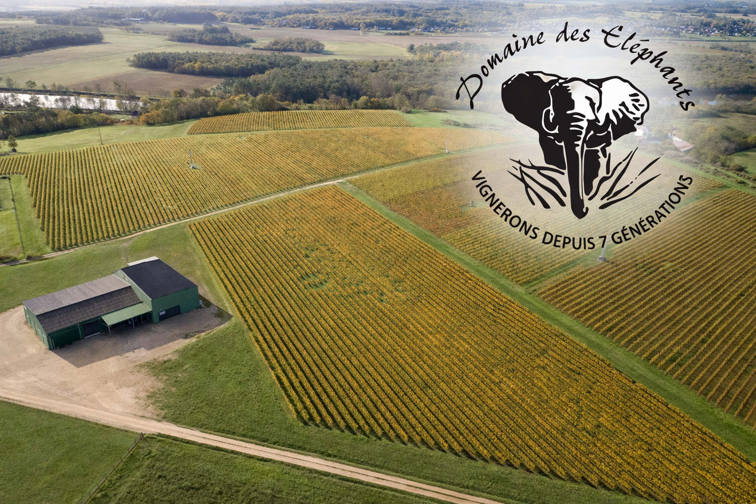 Domaine des éléphants