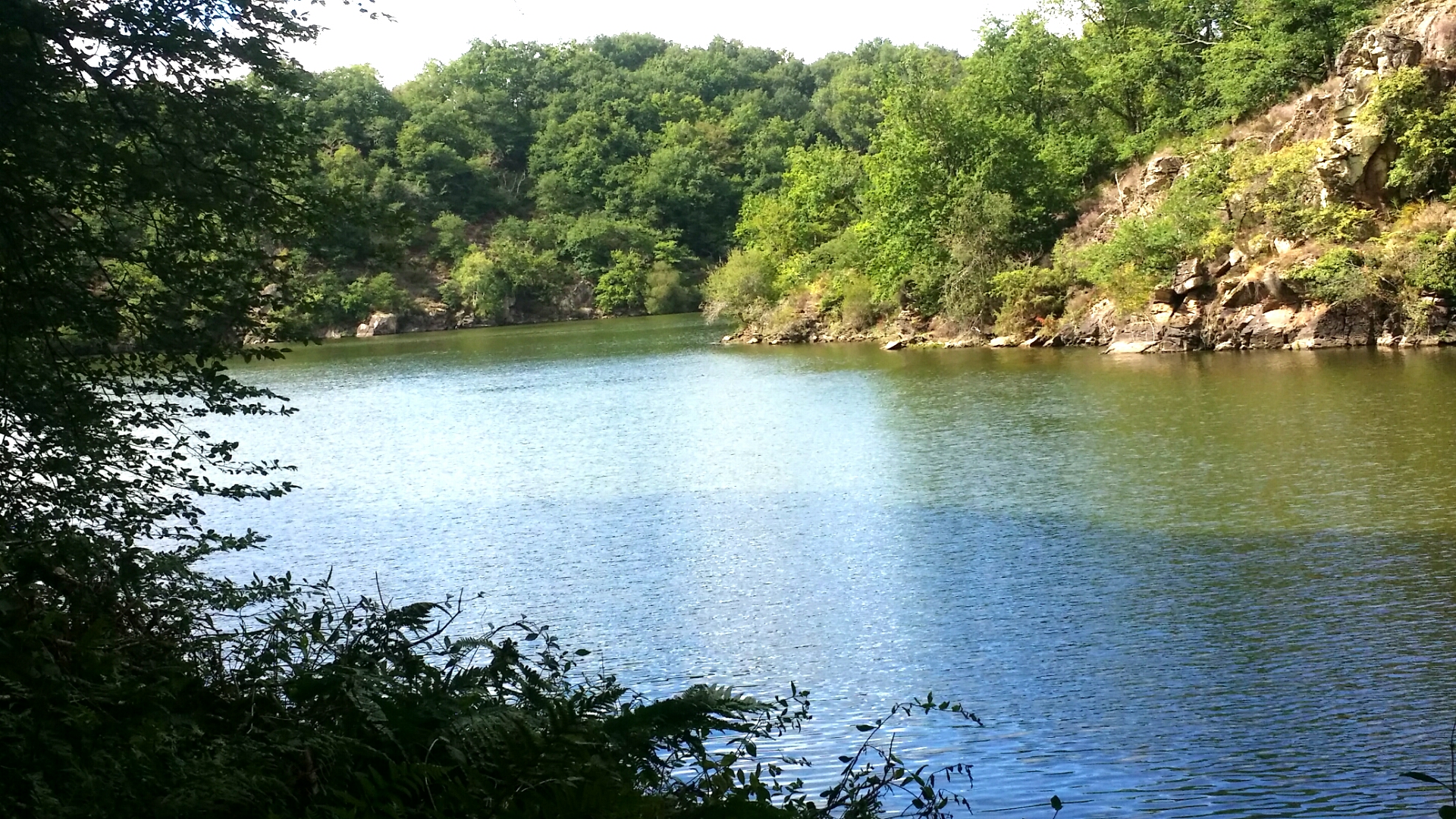 Les Fougères du Lac : Gîte Guillaumin, Saint-Plantaire - photo 14