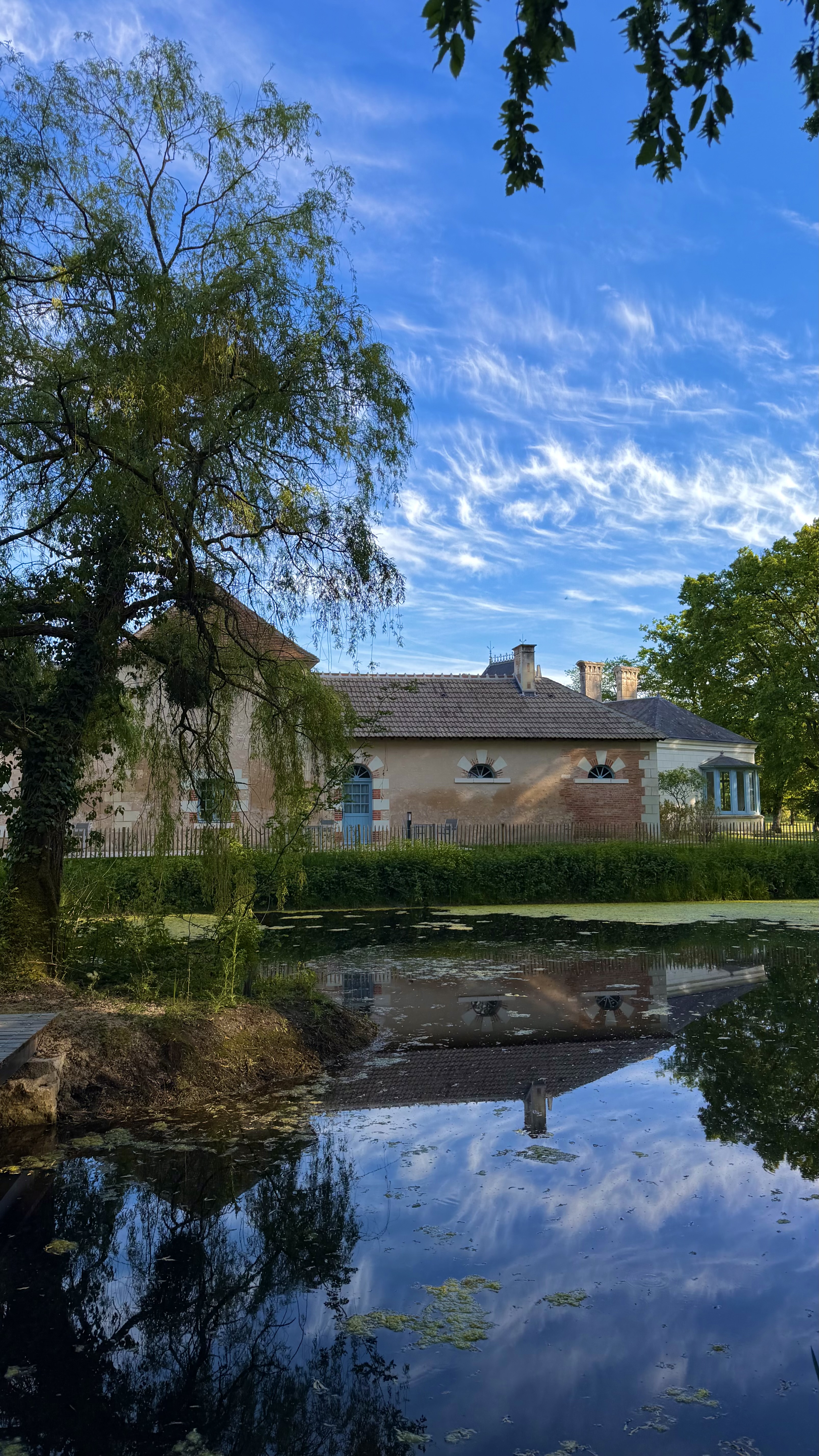 Cloffy et son domaine — photo 2