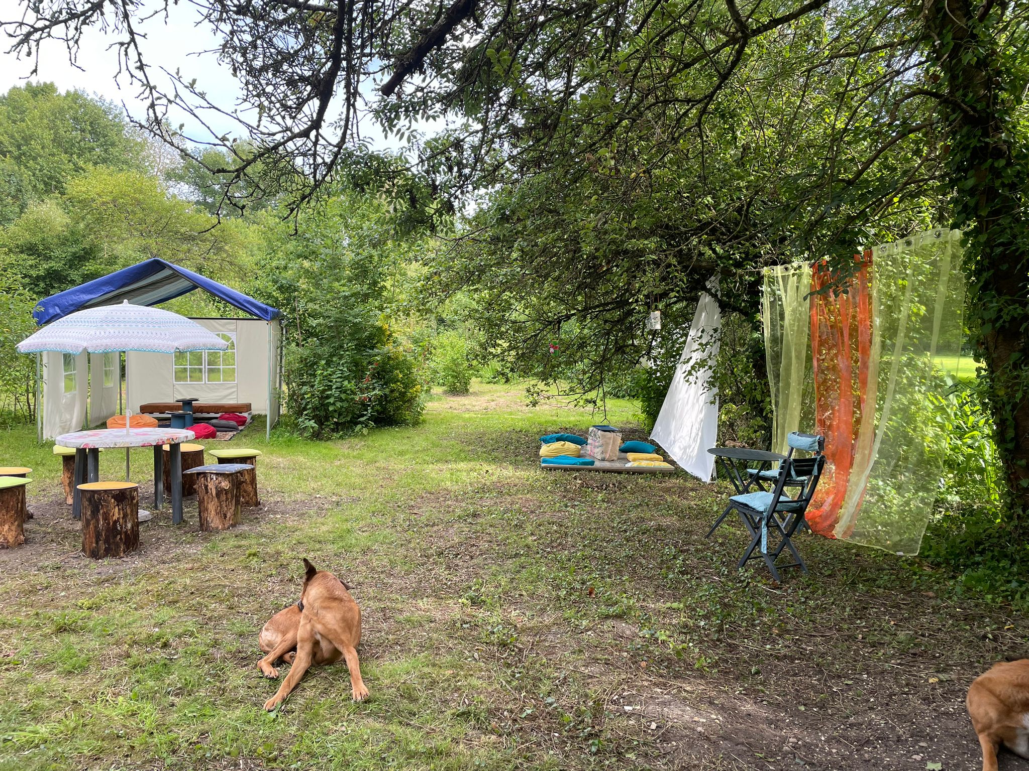 Anaïs Cold Brew - photo 3