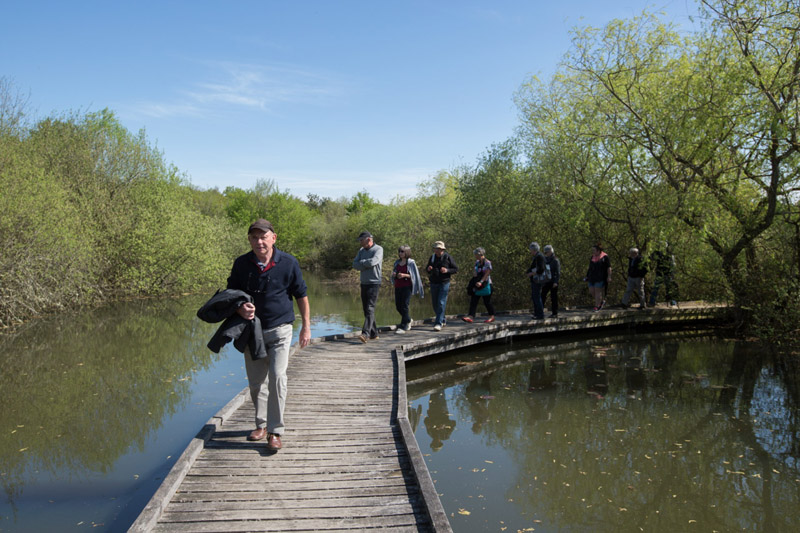 Balade à pied n°3 - Voyage entre les étangs et le canal des cinq bondes, Lingé - photo 6